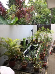 Sunrise Villa (D28), Terrace #160272962